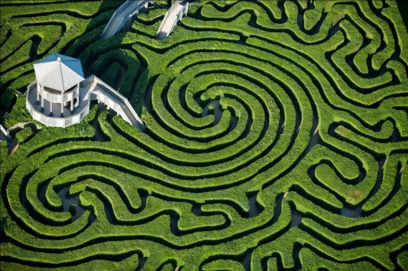 Luftaufnahme eines Hecken-Labyrinths – Symbolbild für den Weg in der Gruppe